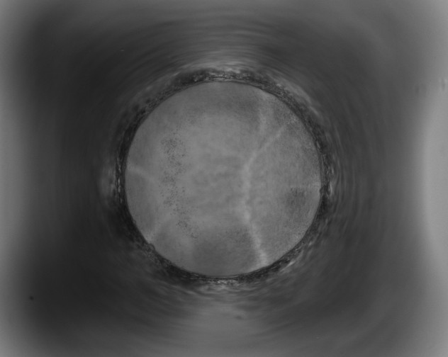 X0000087530966200705251656