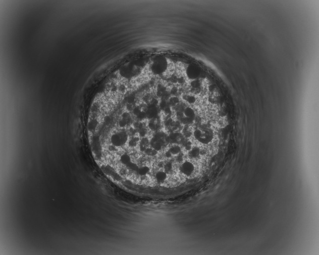 X0000087530967200705251656
