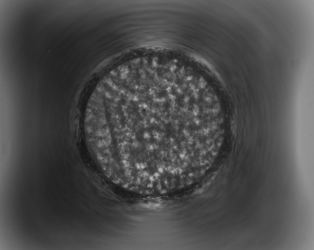 X0000087530968200705251656