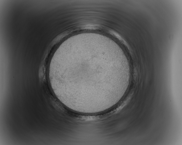 X0000087530970200705251656