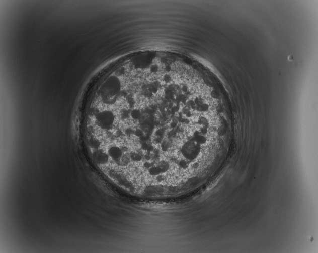 X0000087530971200705251656