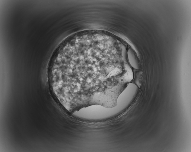 X0000087530972200705251656