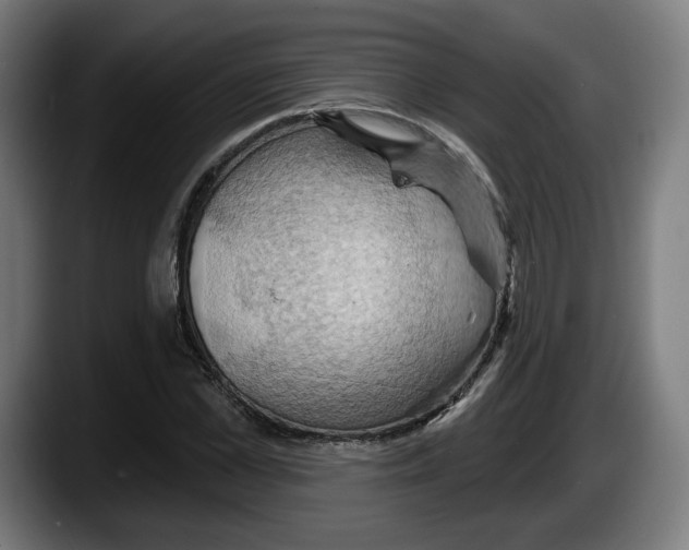 X0000087530973200705251656