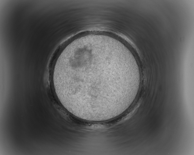 X0000087530974200705251656