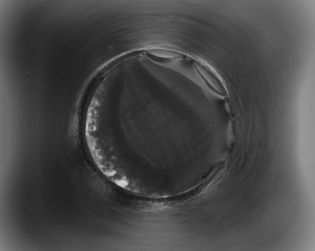X0000087530975200705251656