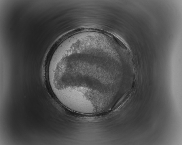 X0000087530976200705251656