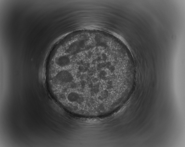 X0000087530979200705251656