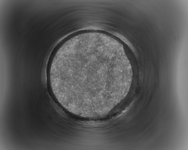 X0000087530980200705251656