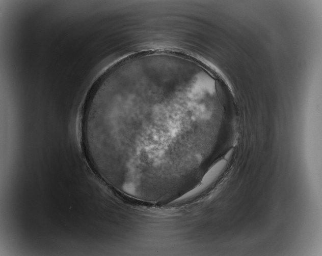 X0000087530983200705251656