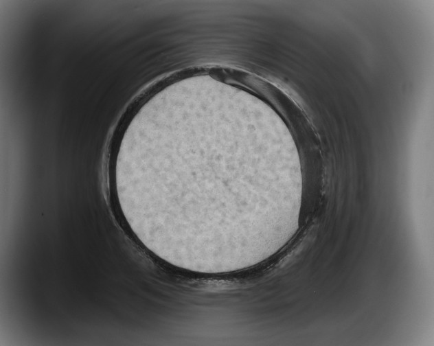 X0000087530984200705251656