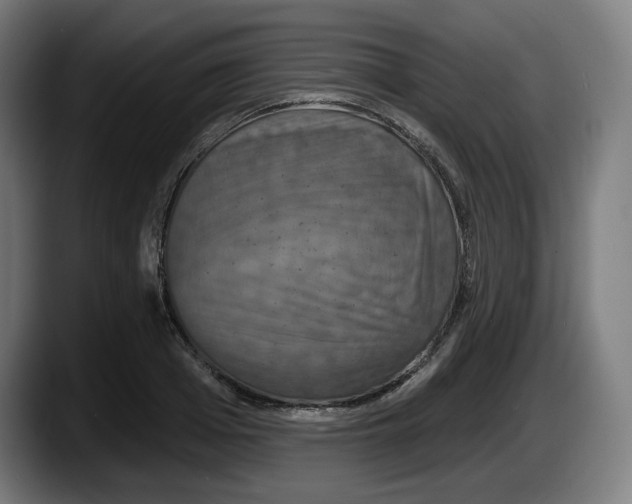 X0000087530985200705251656