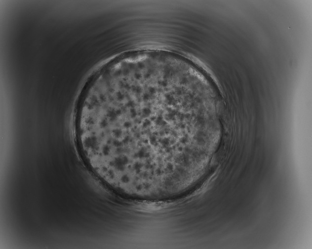X0000087530987200705251656