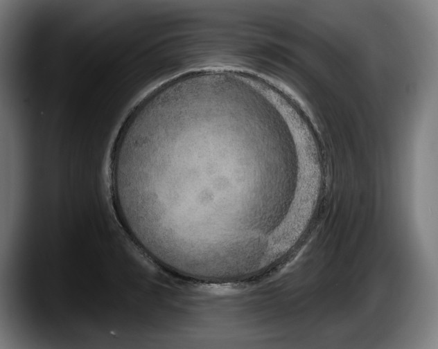 X0000087530990200705251656