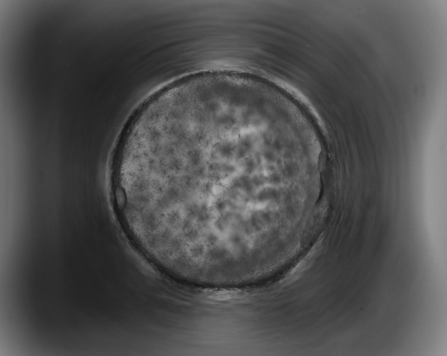 X0000087530991200705251656