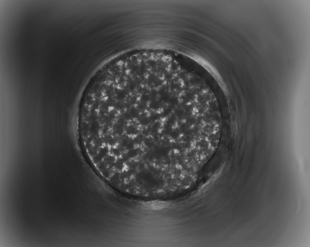 X0000087530992200705251656