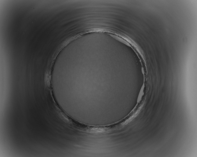 X0000087530993200705251656