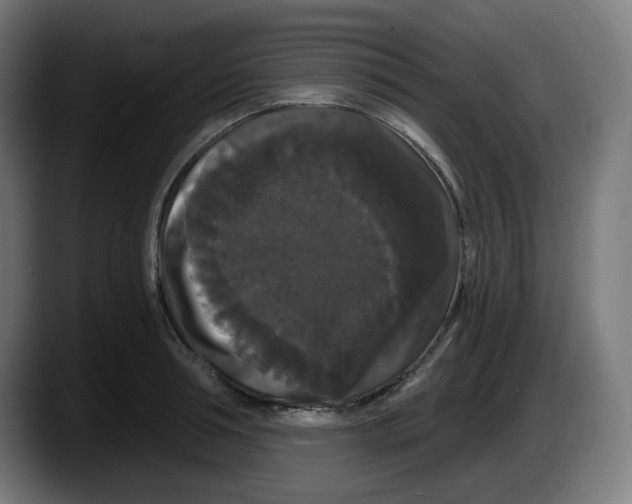 X0000087530994200705251656