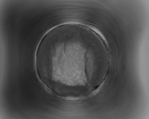 X0000087530996200705251656