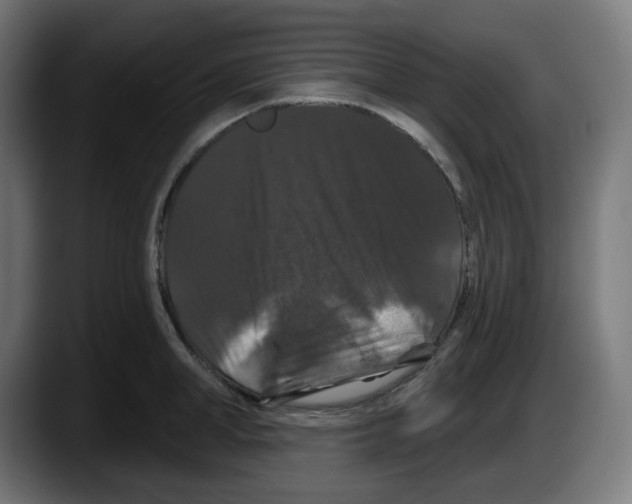 X0000087530998200705251656
