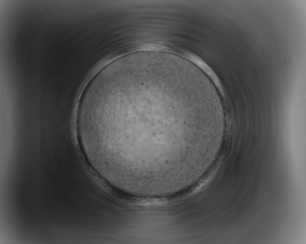 X0000087531002200705251655