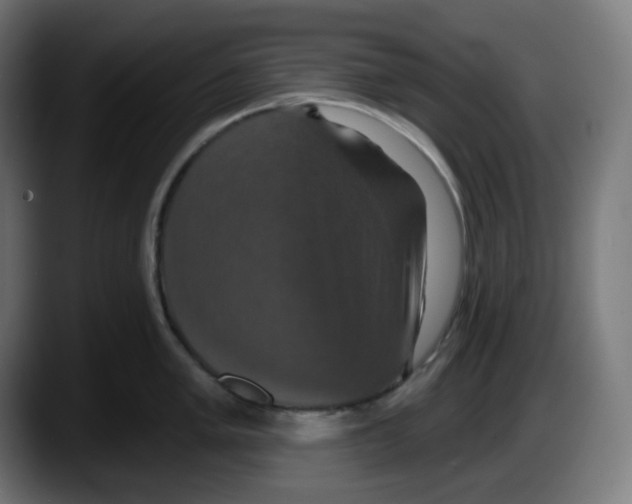 X0000087531005200705251655