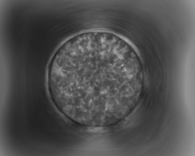 X0000087531006200705251655