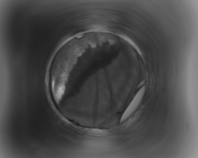 X0000087531007200705251655