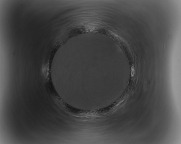 X0000087531011200705251655