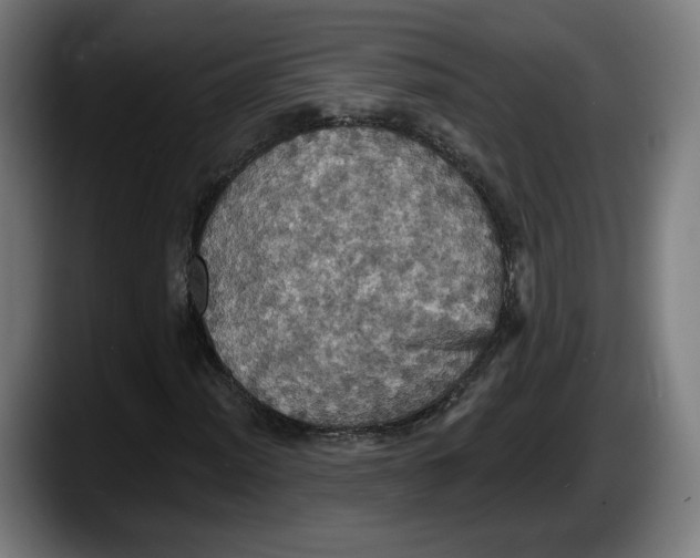 X0000087531012200705251655
