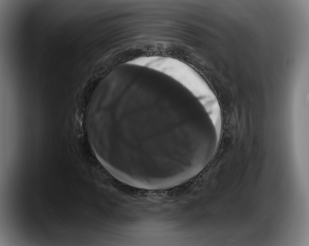 X0000087531013200705251655