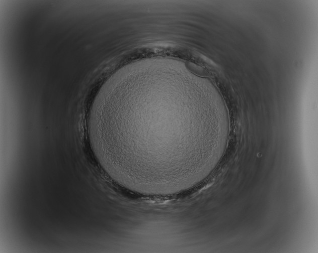 X0000087531014200705251655