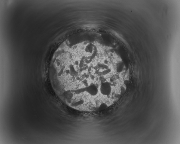 X0000087531015200705251655