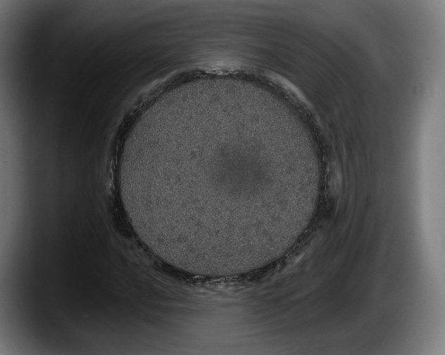 X0000087531016200705251655