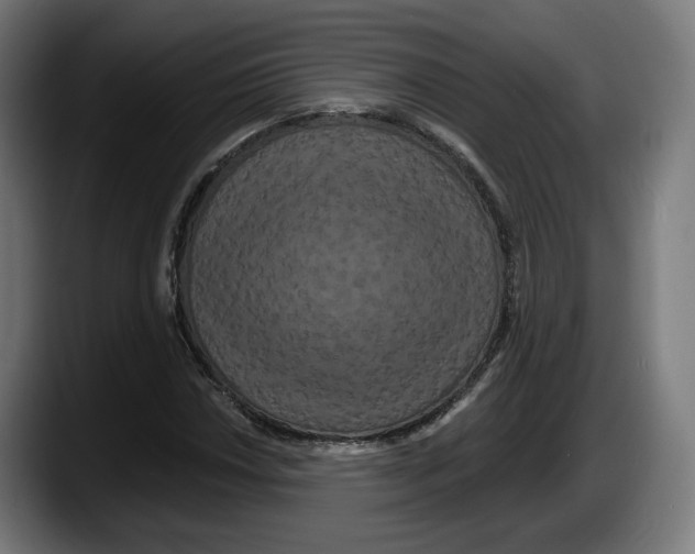 X0000087531018200705251655