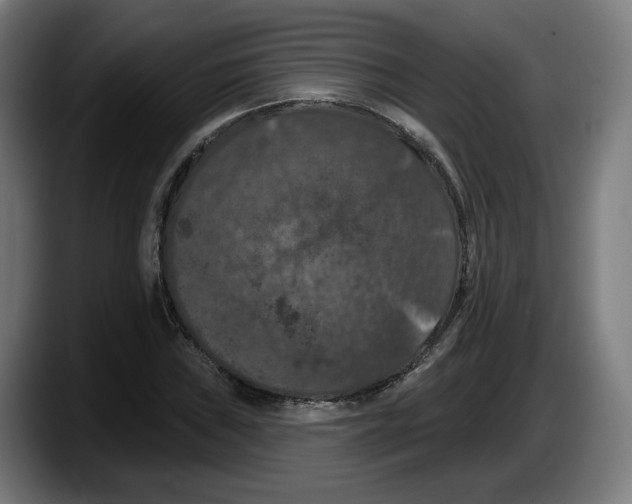 X0000087531019200705251655