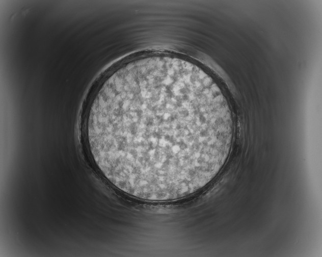X0000087531020200705251655