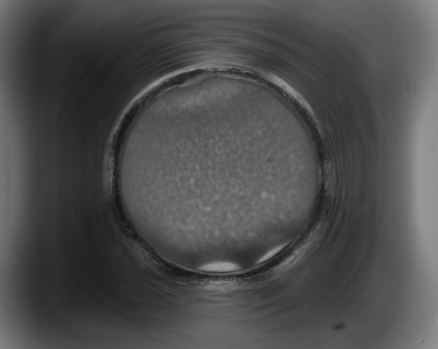 X0000087531021200705251655
