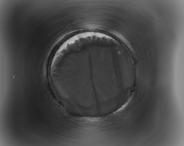 X0000087531023200705251655