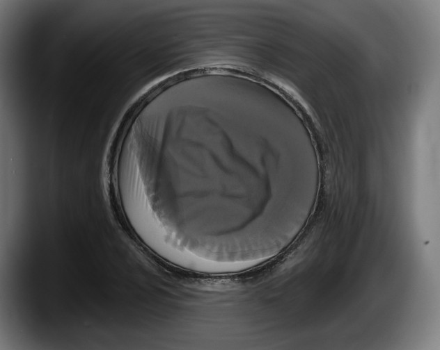 X0000087531024200705251655
