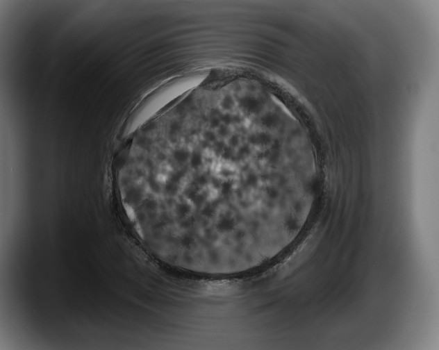 X0000087531025200705251655