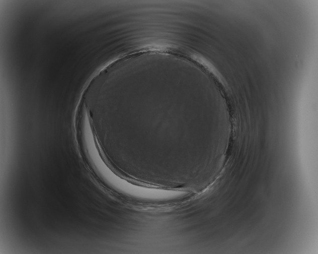 X0000087531026200705251655