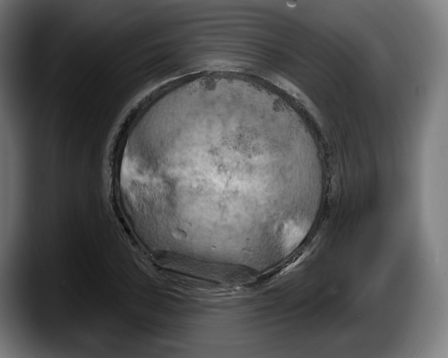 X0000087531027200705251655
