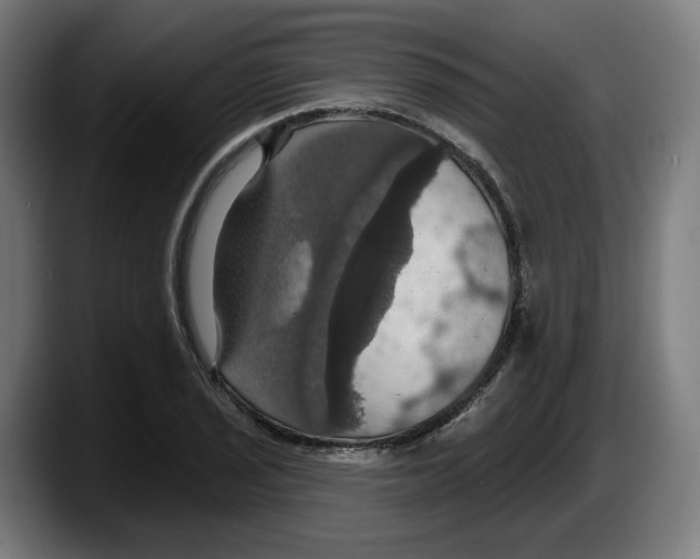 X0000087531029200705251655