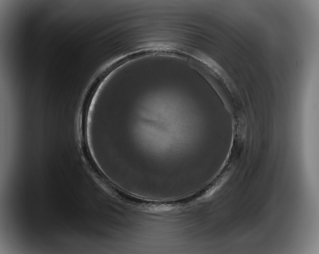 X0000087531030200705251655