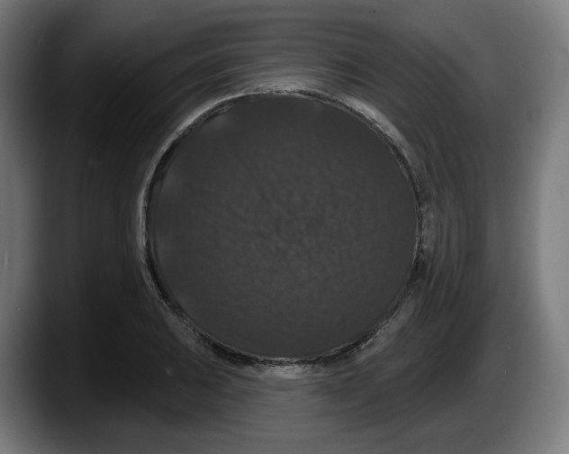 X0000087531031200705251655