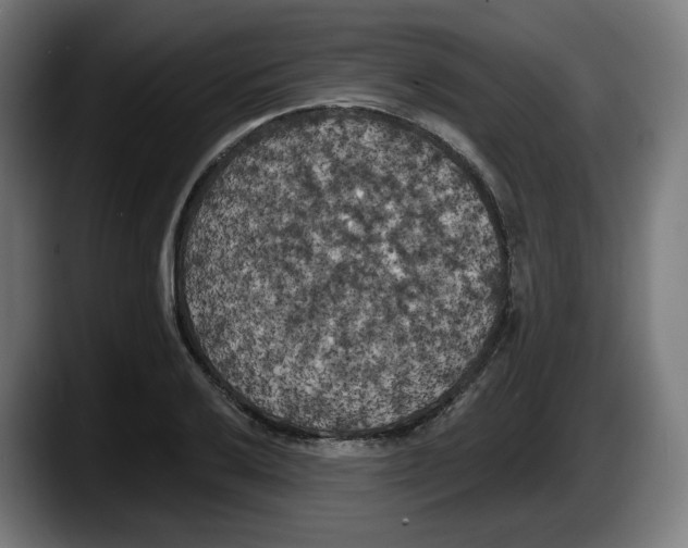 X0000087531032200705251655