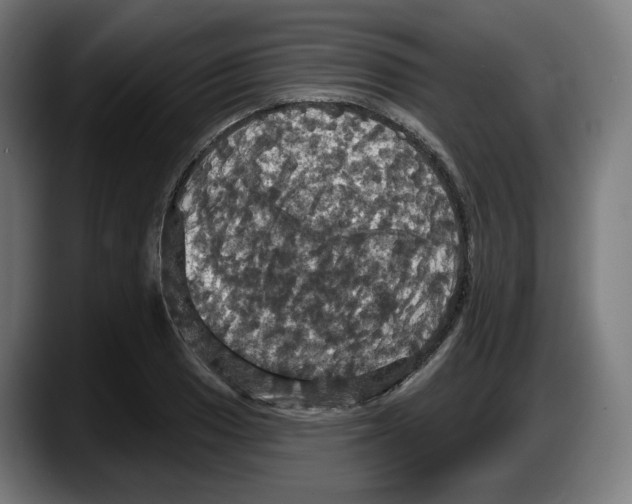 X0000087531033200705251655