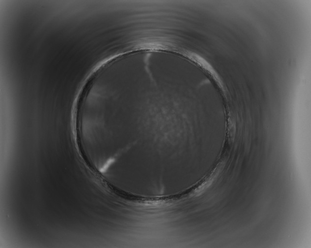 X0000087531035200705251655