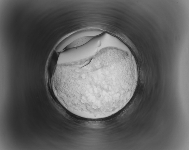 X0000087531036200705251655