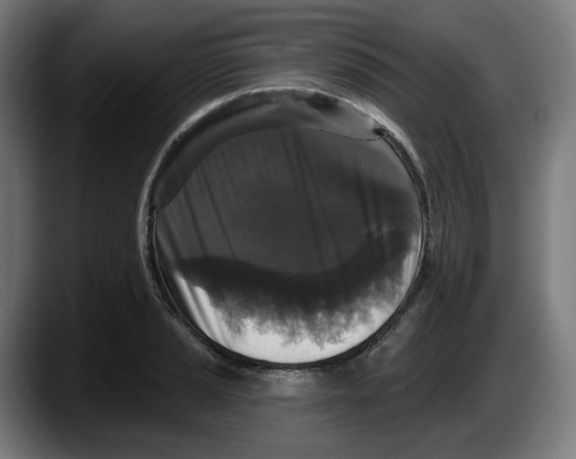 X0000087531037200705251655